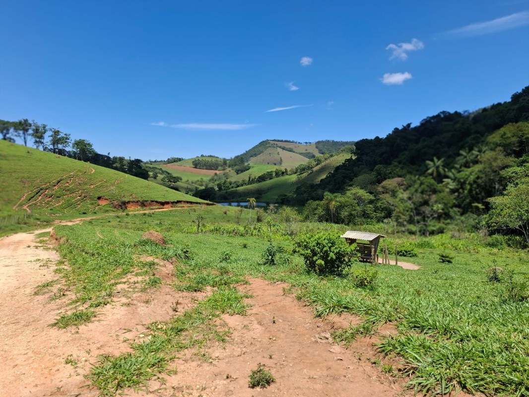 Fazenda, 131 hectares - Foto 11