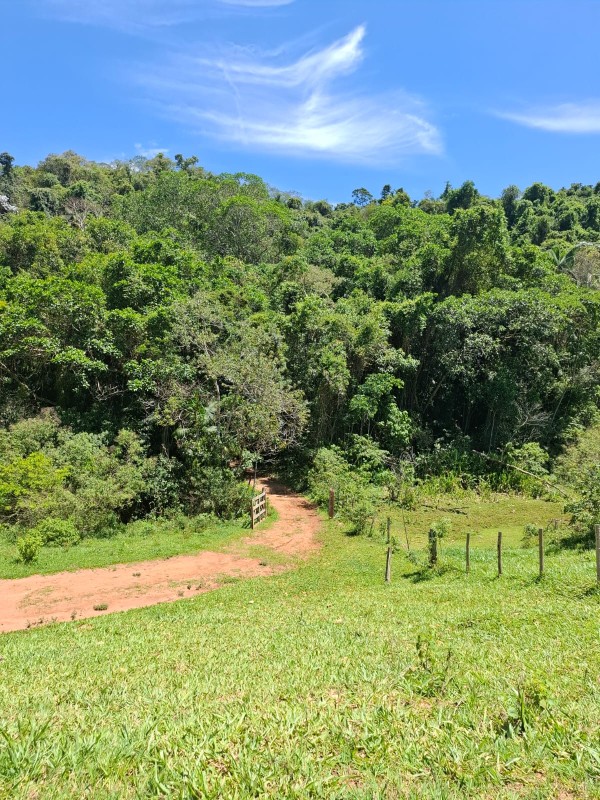 Fazenda, 131 hectares - Foto 13