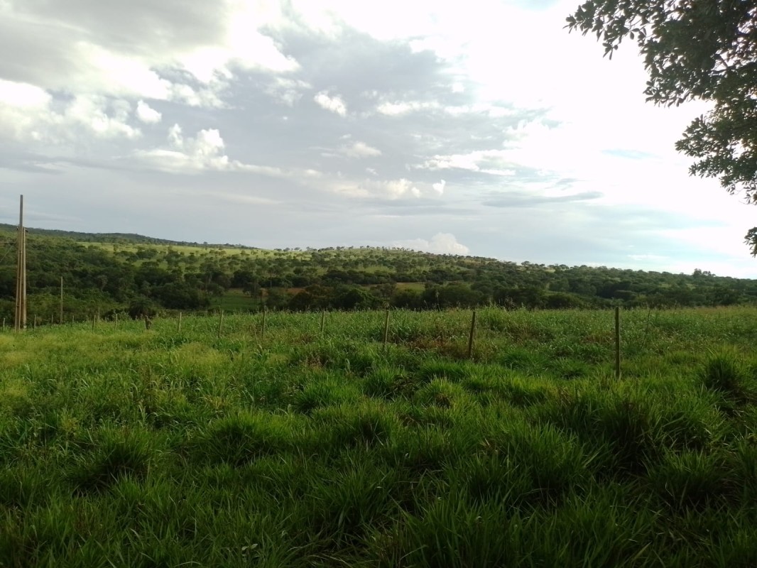 Terreno, 2 hectares - Foto 1