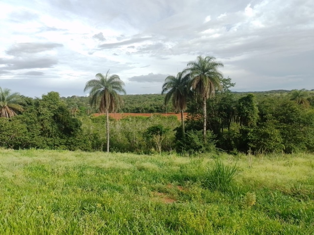 Terreno, 2 hectares - Foto 2