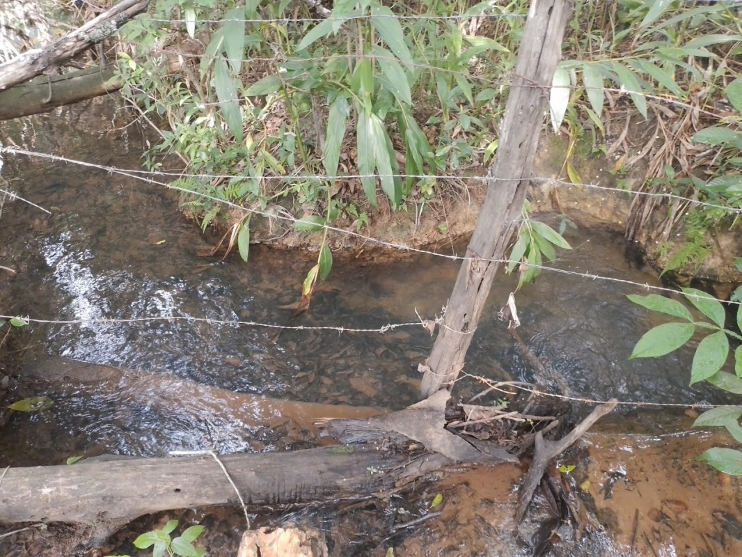 Terreno, 2 hectares - Foto 7