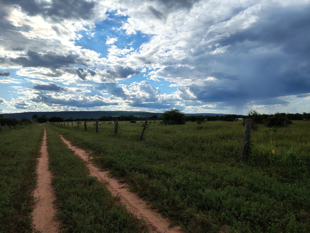 Terreno, 1000 hectares - Foto 1