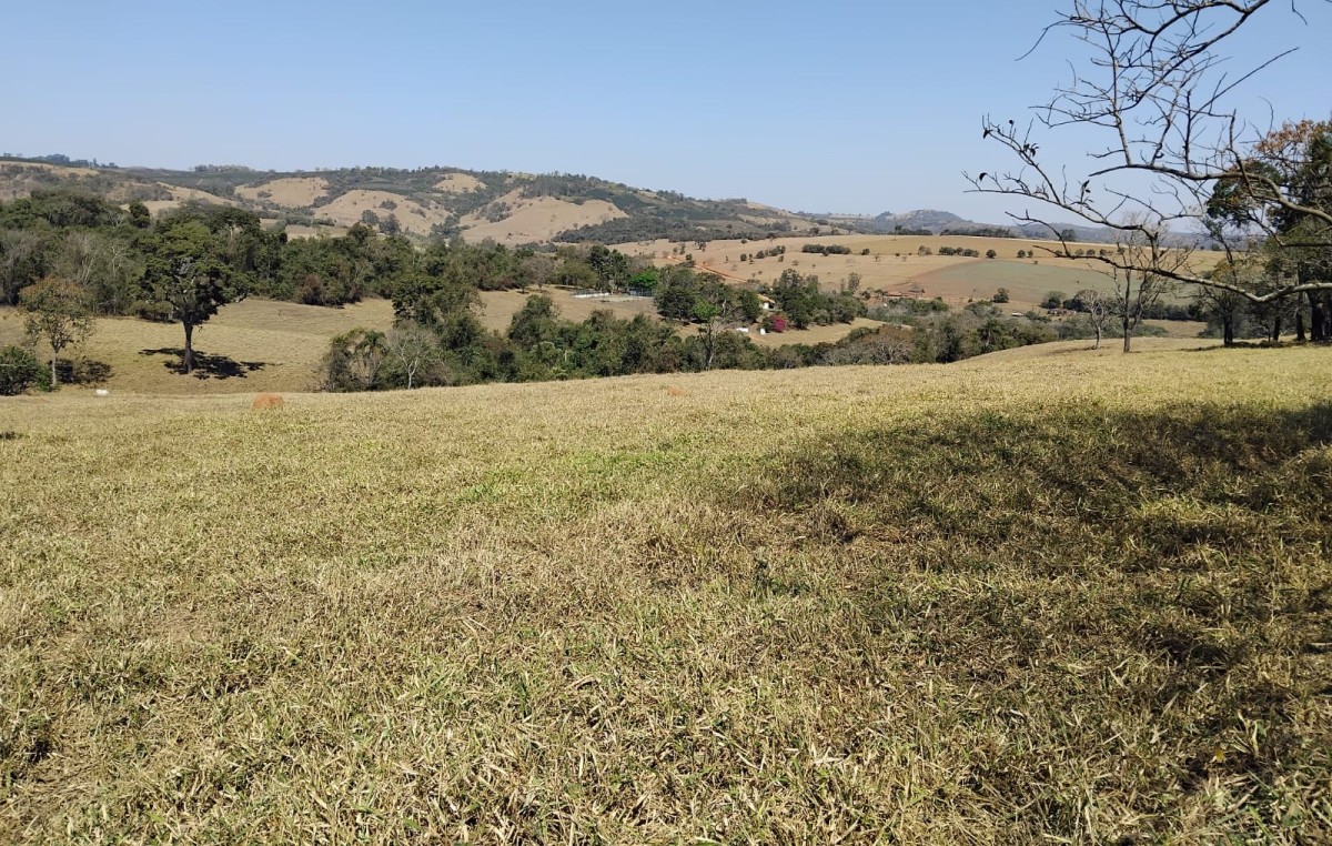 Fazenda, 106 hectares - Foto 1