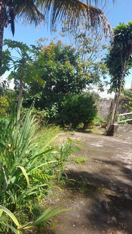 Chácara, 3 quartos - Foto 18