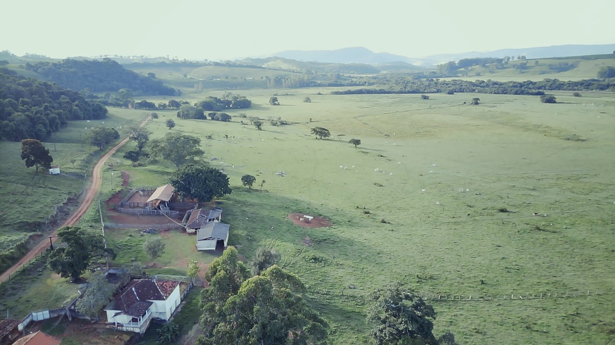 Fazenda, 261 hectares - Foto 2