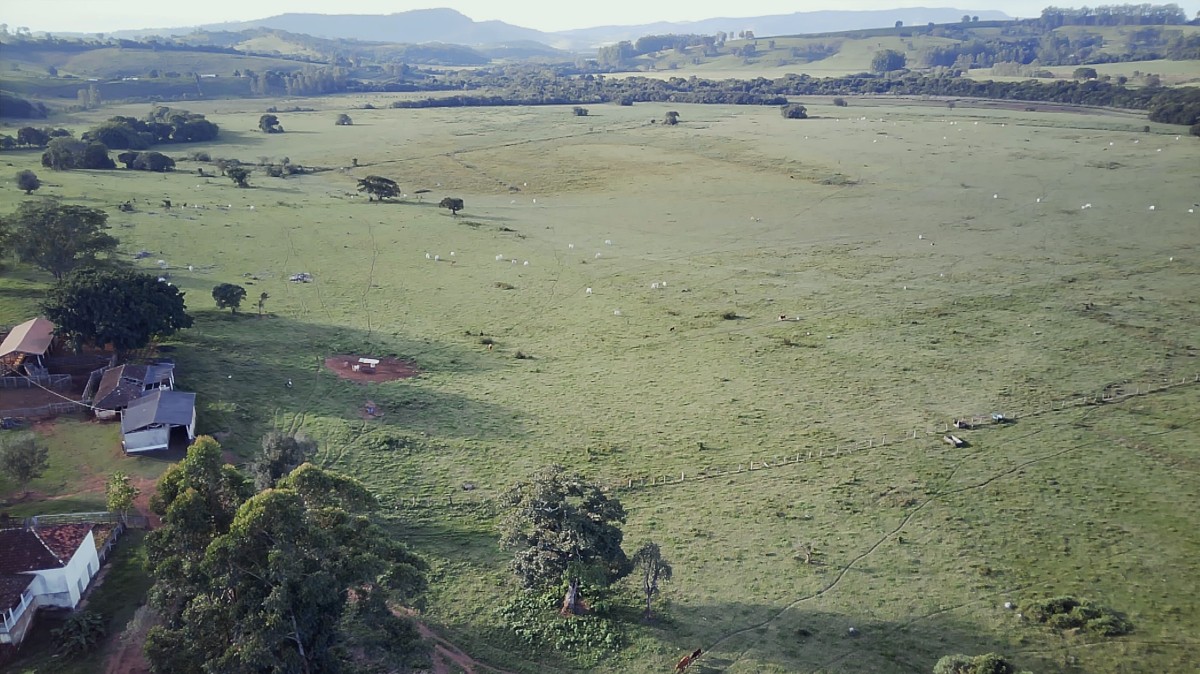 Fazenda, 261 hectares - Foto 3