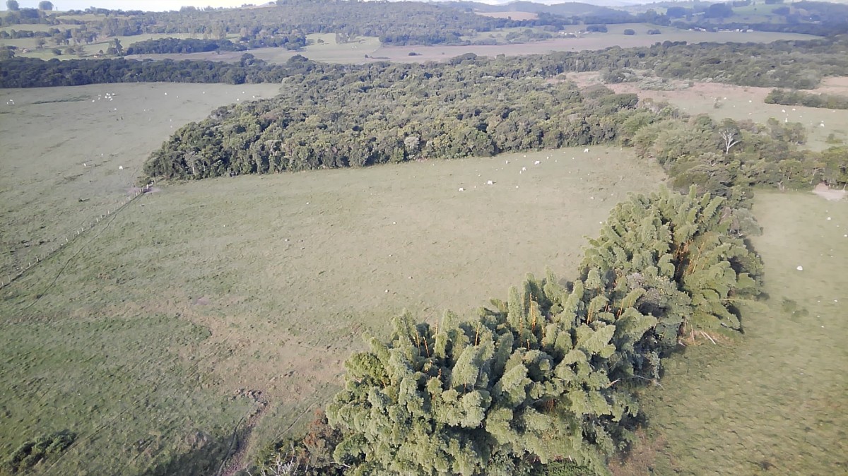 Fazenda, 261 hectares - Foto 12