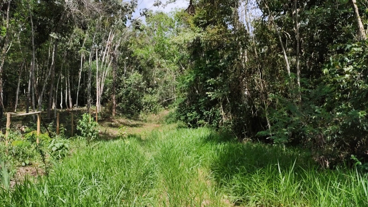 Terreno, 4000 m² - Foto 2