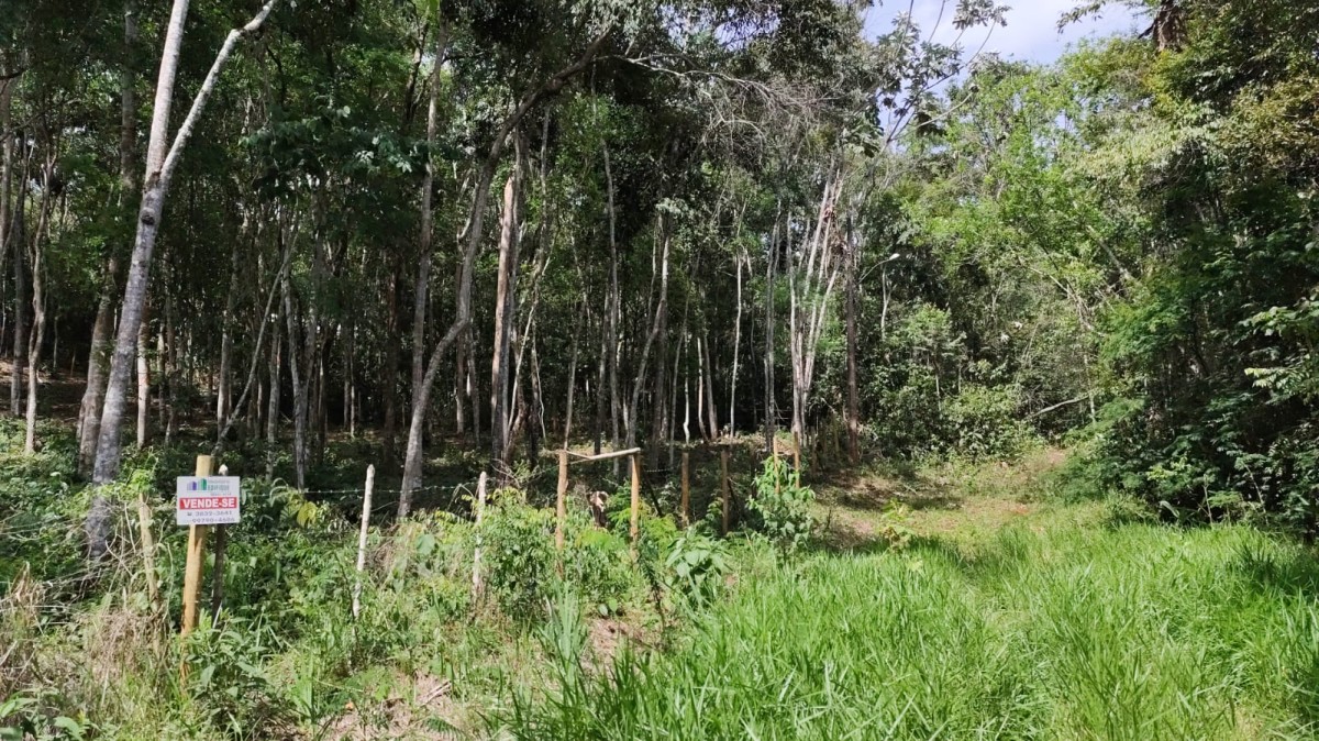 Terreno, 4000 m² - Foto 1