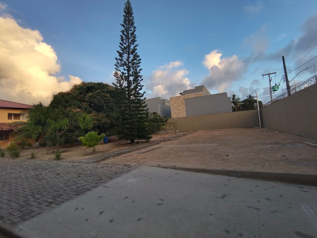 Casa, 4 quartos, 300 m² - Foto 3