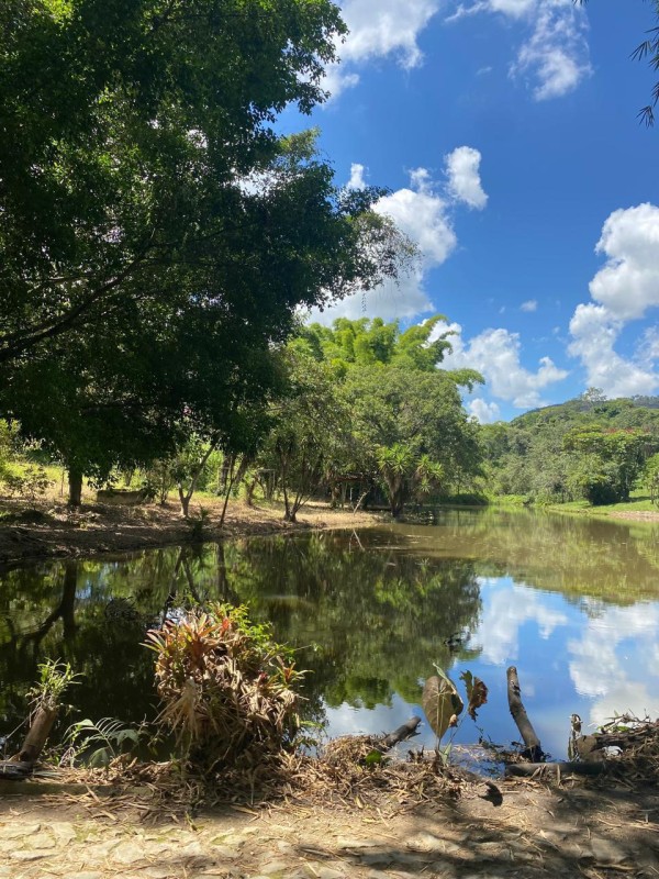 Chácara, 1 quarto - Foto 1