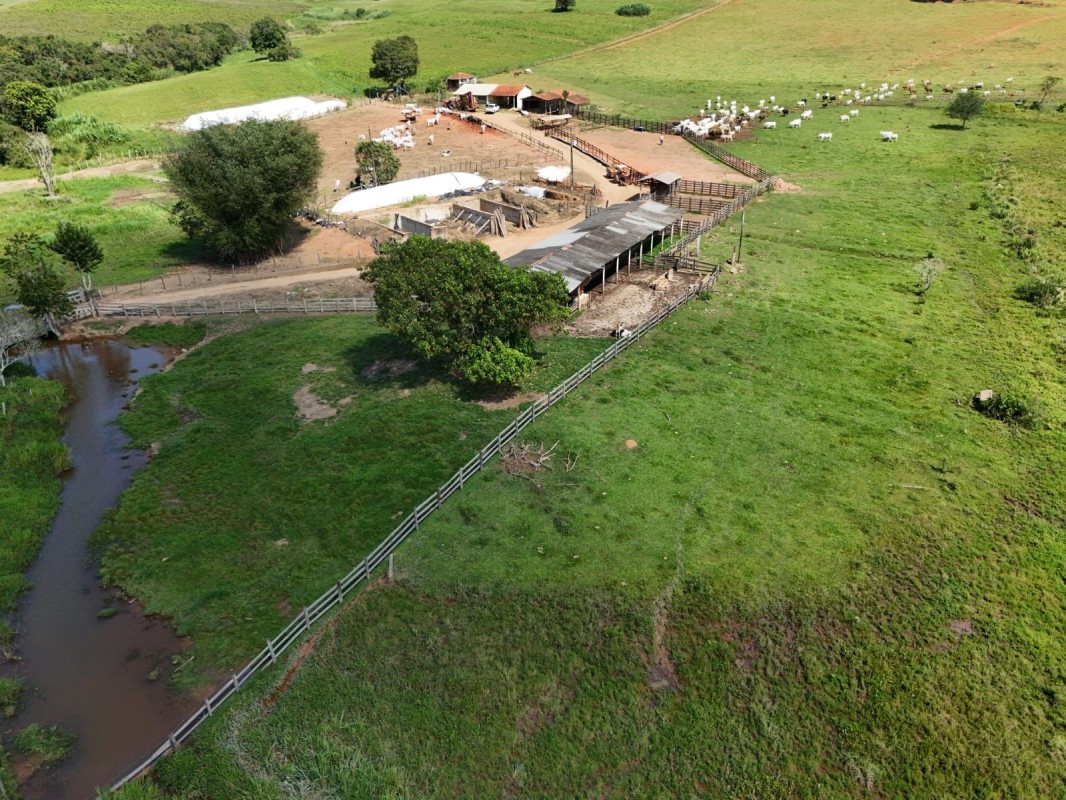 Fazenda, 167 hectares - Foto 3