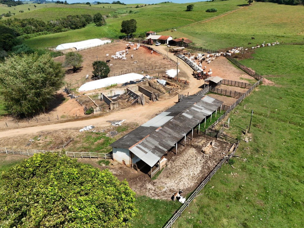 Fazenda, 167 hectares - Foto 1