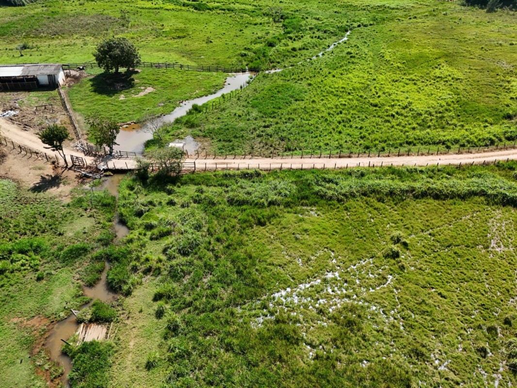 Fazenda, 167 hectares - Foto 4