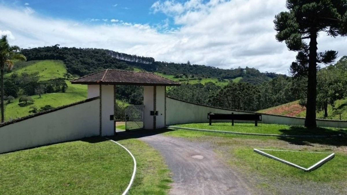 Fazenda, 157 hectares - Foto 3
