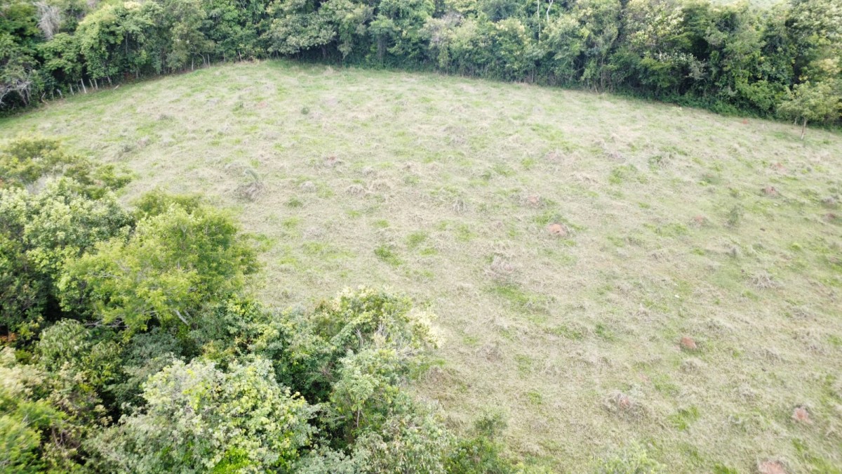 Sítio, 1 quarto, 5 hectares - Foto 4