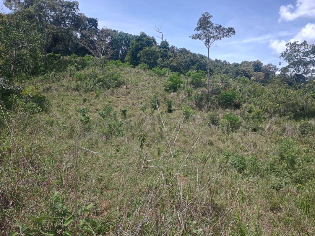 Chácara, 1 quarto, 5 hectares - Foto 12