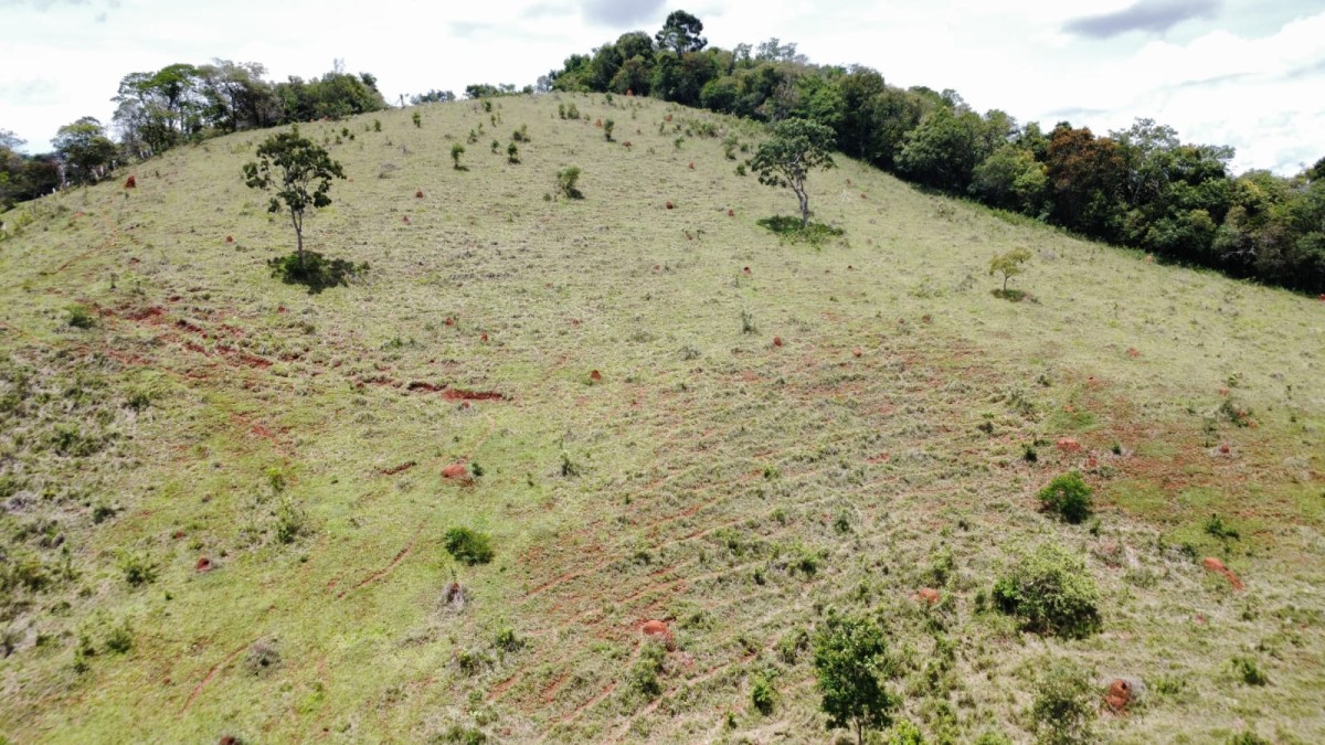 Chácara, 1 quarto, 5 hectares - Foto 11
