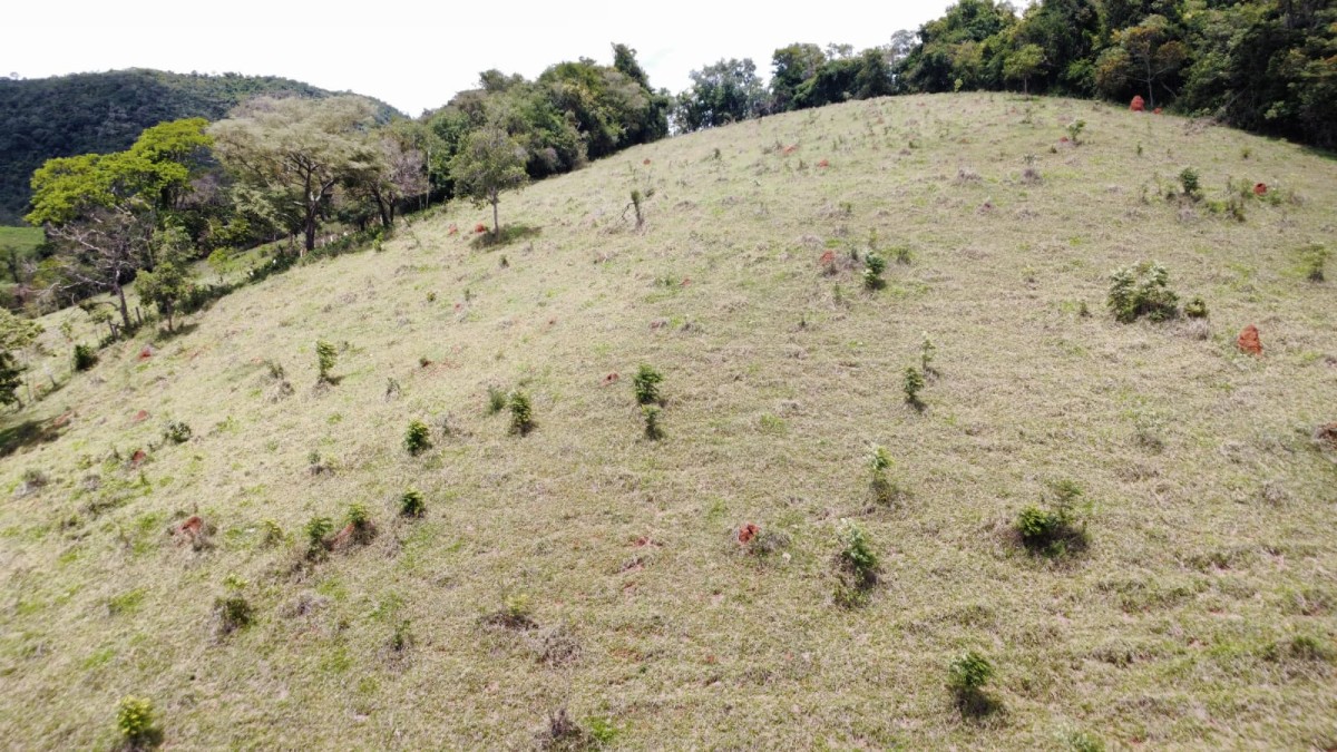 Chácara, 1 quarto, 5 hectares - Foto 16