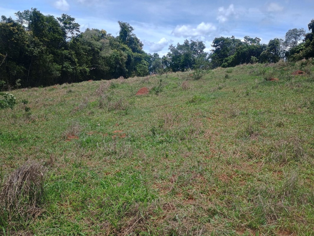 Chácara, 1 quarto, 5 hectares - Foto 7