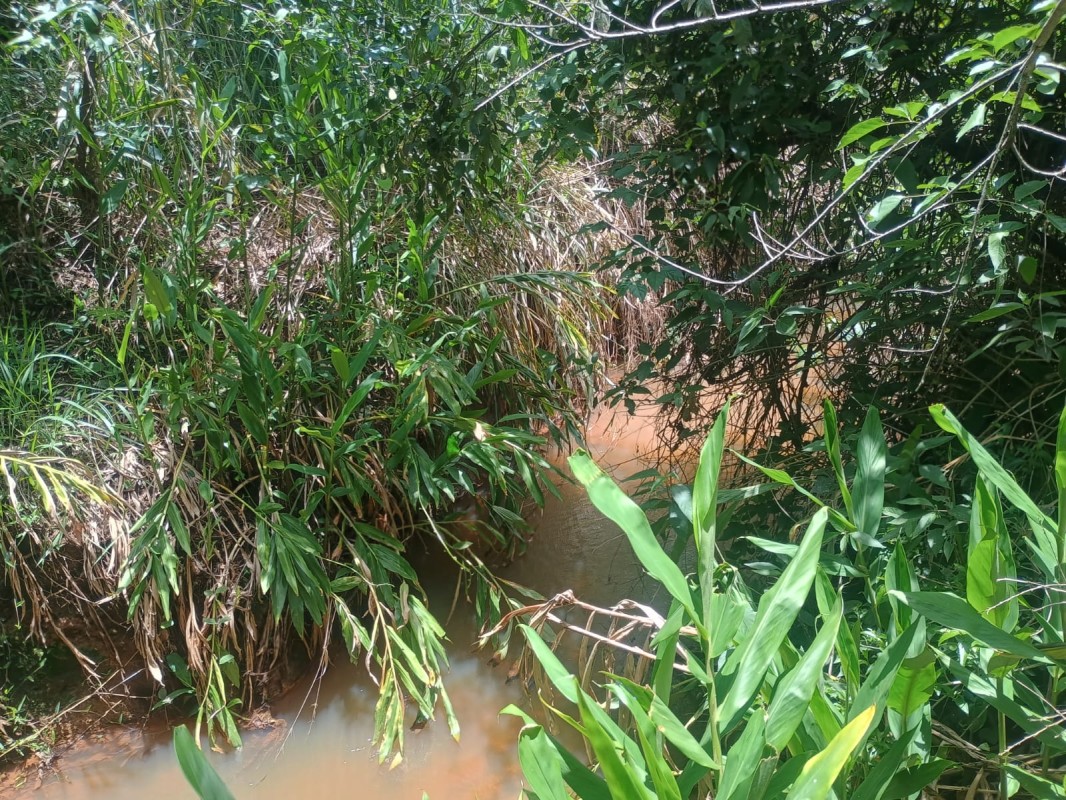 Chácara, 1 quarto, 5 hectares - Foto 6