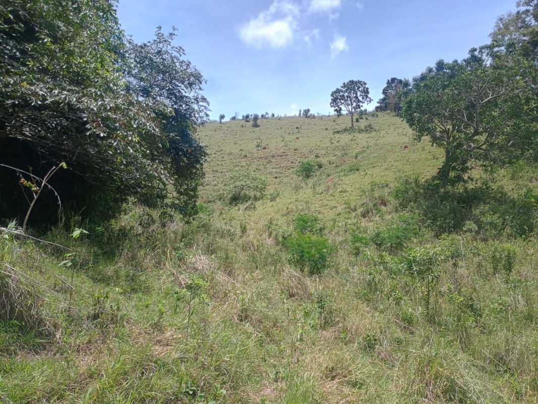 Chácara, 1 quarto, 5 hectares - Foto 8