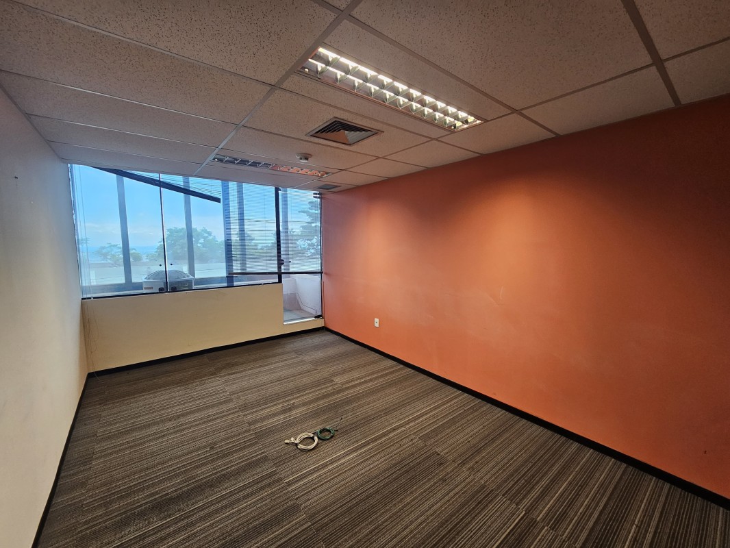 Loja-Salão, 1000 m² - Foto 4