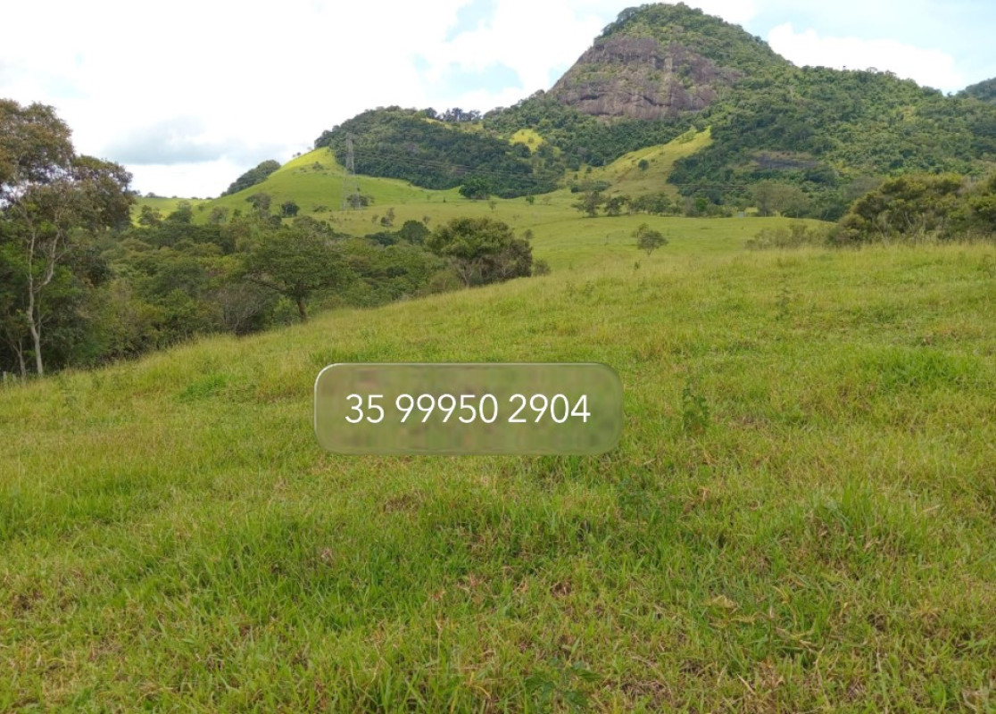 Fazenda, 197 hectares - Foto 3