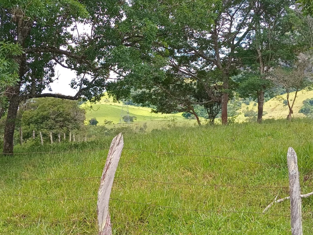 Fazenda, 197 hectares - Foto 4