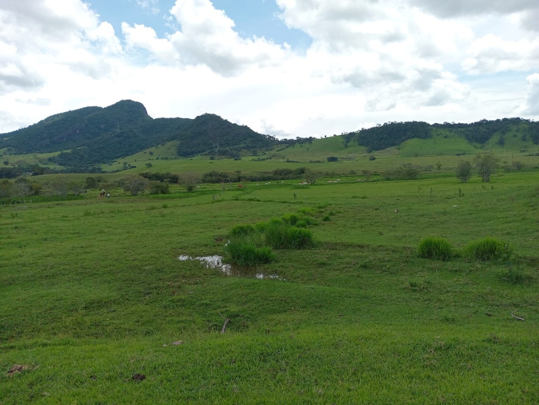 Fazenda, 197 hectares - Foto 3
