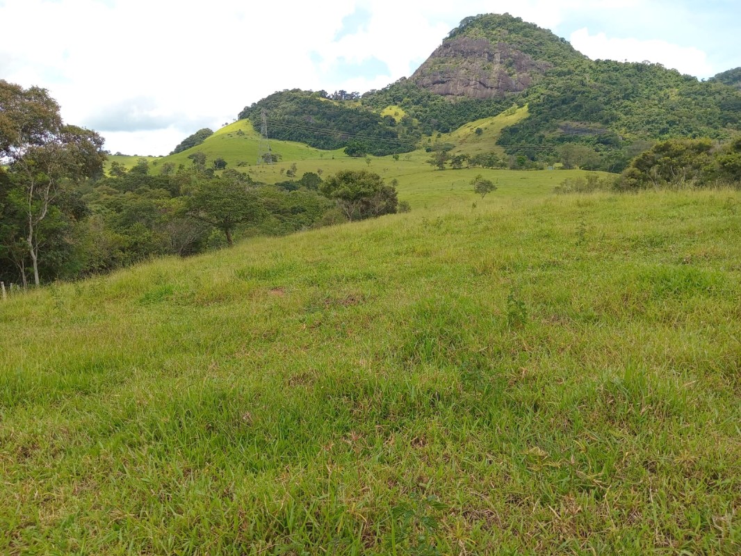Fazenda, 197 hectares - Foto 2