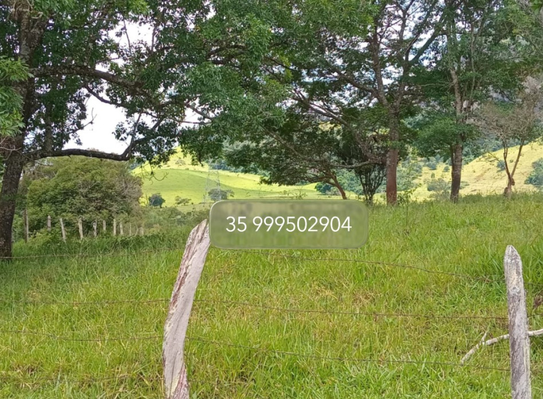 Fazenda, 197 hectares - Foto 8