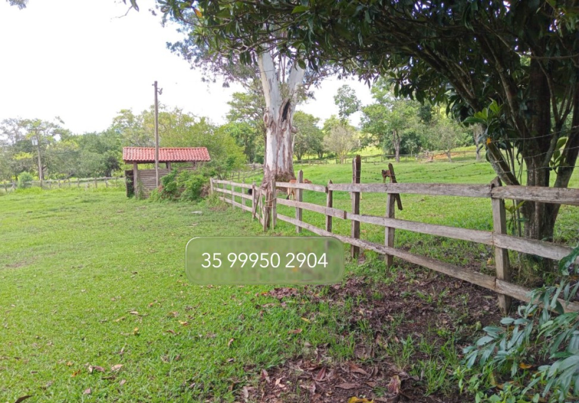 Fazenda, 197 hectares - Foto 16