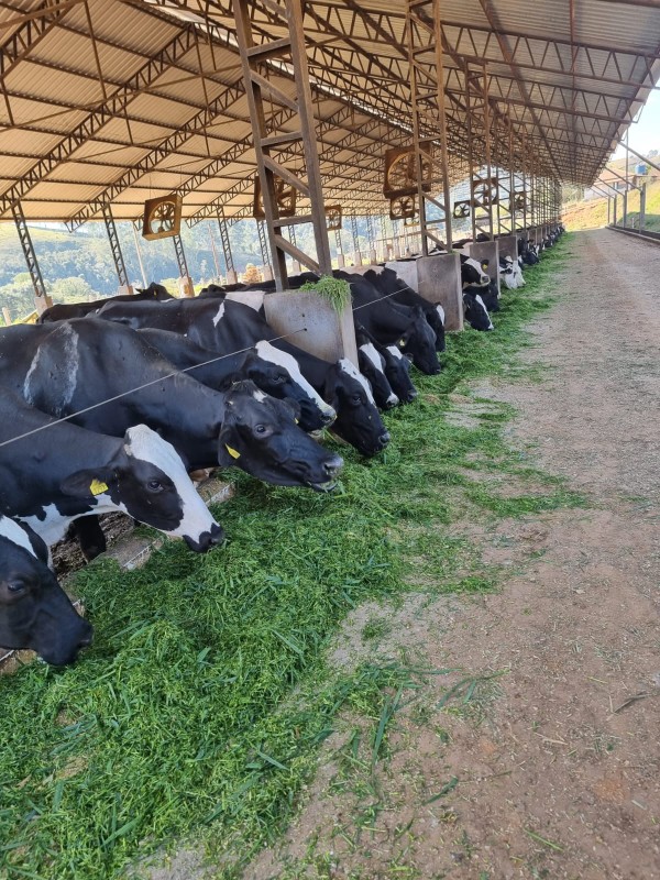 Fazenda, 120 hectares - Foto 2