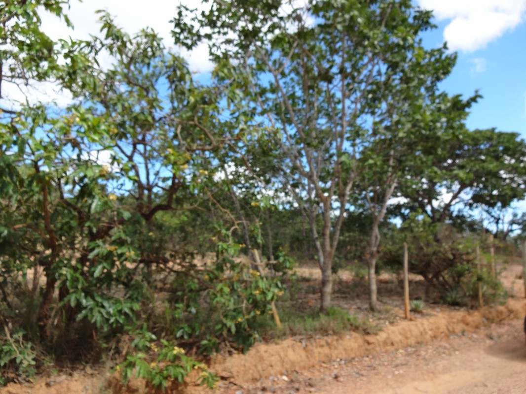 Chácara, 1 quarto - Foto 8