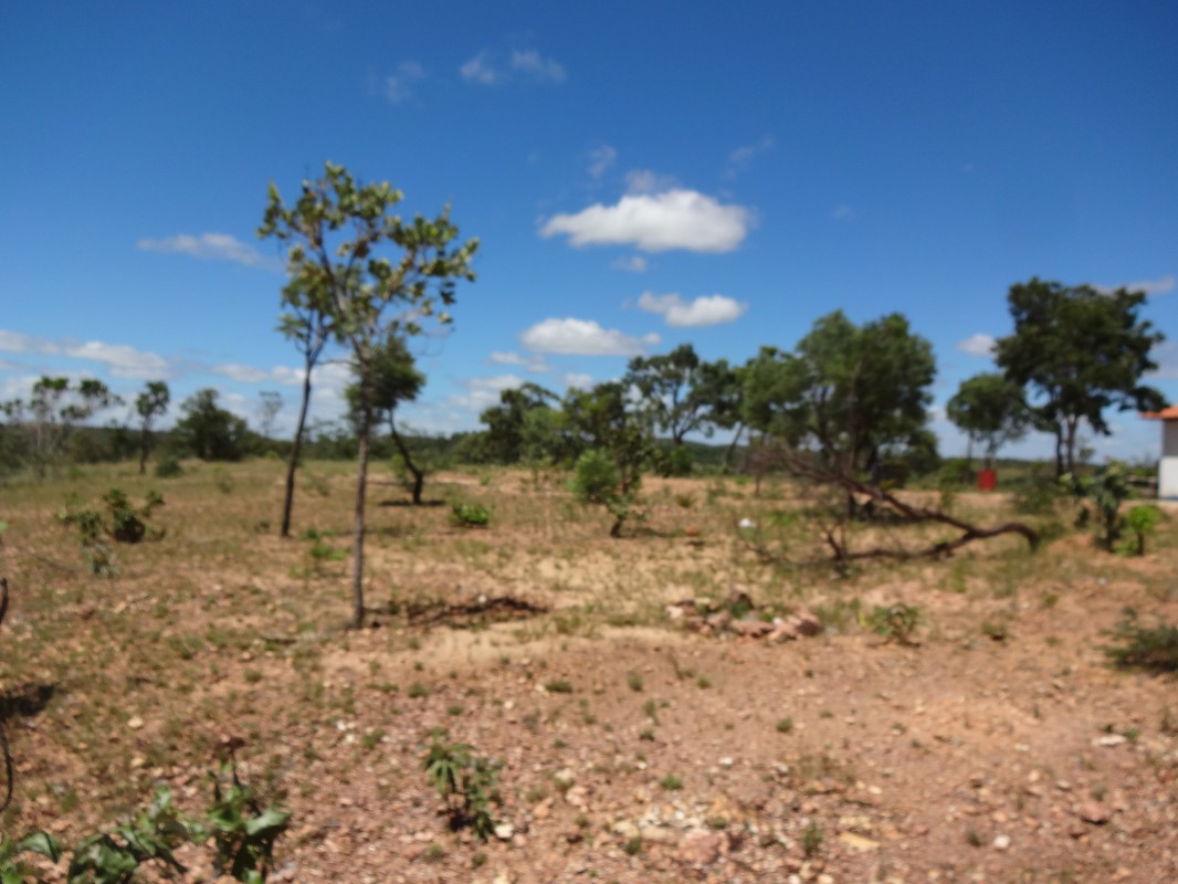 Chácara, 1 quarto - Foto 21