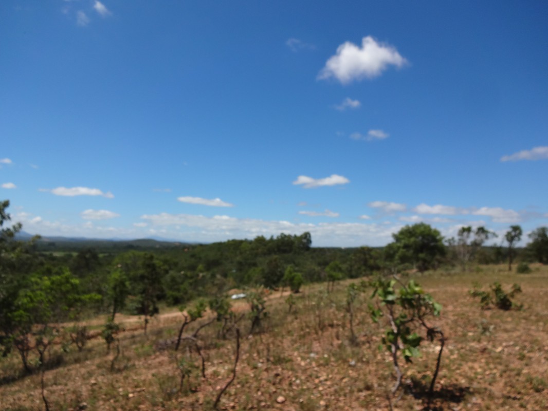 Chácara, 1 quarto - Foto 22