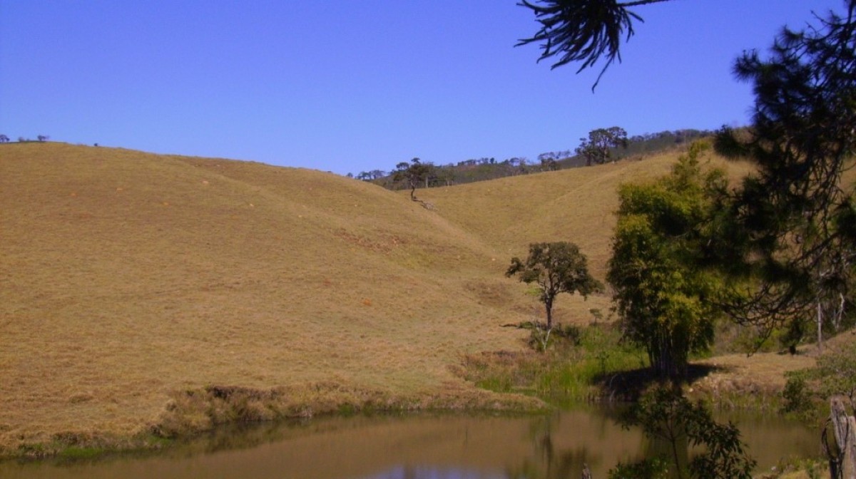 Fazenda, 170 hectares - Foto 21