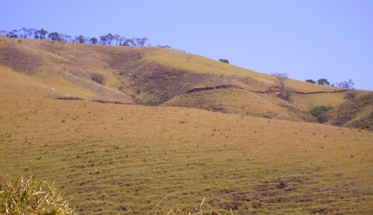 Fazenda, 170 hectares - Foto 18