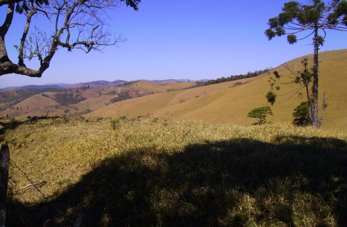 Fazenda, 170 hectares - Foto 12