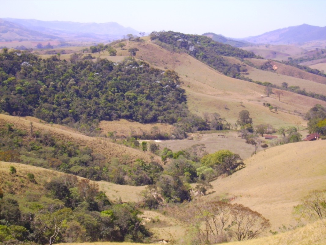 Fazenda, 170 hectares - Foto 17