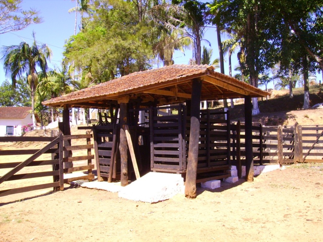 Fazenda, 170 hectares - Foto 3