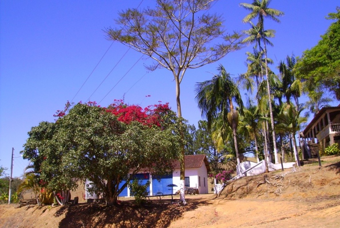 Fazenda, 170 hectares - Foto 4