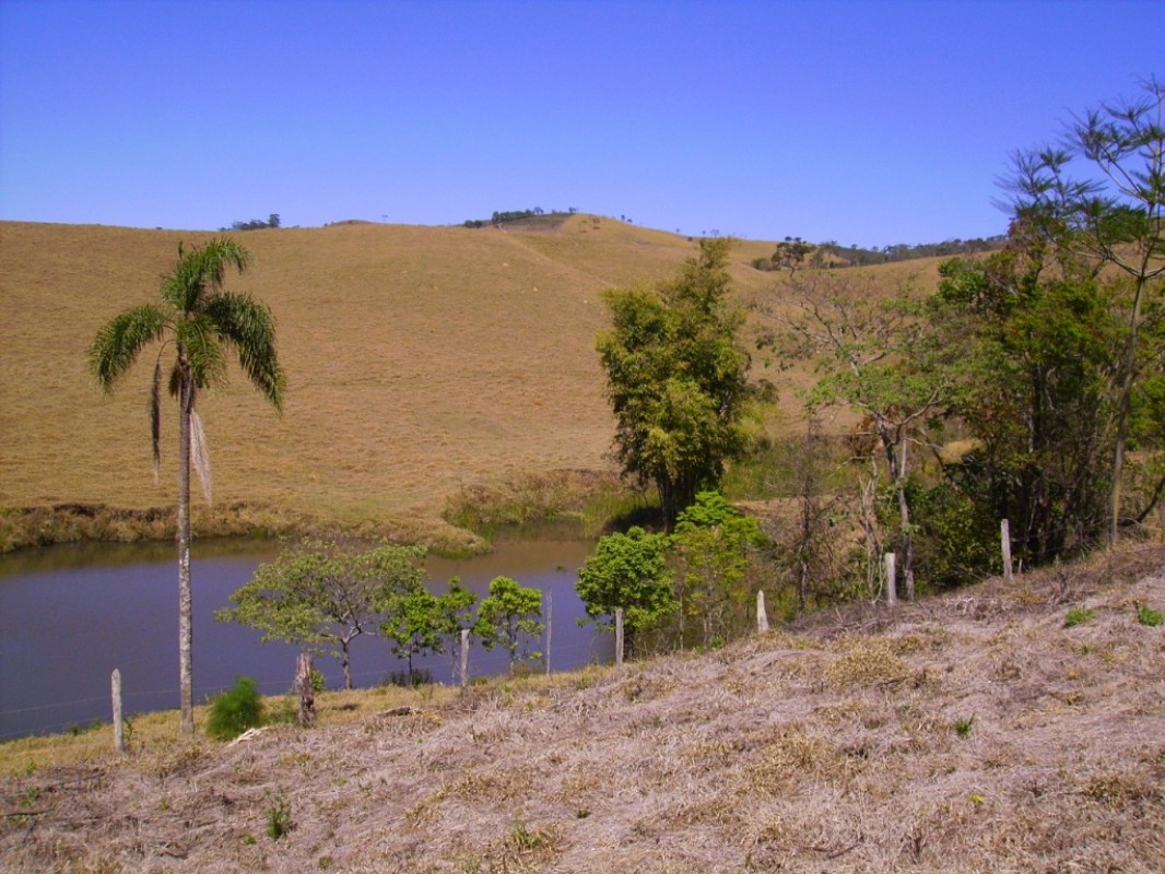 Fazenda, 170 hectares - Foto 20
