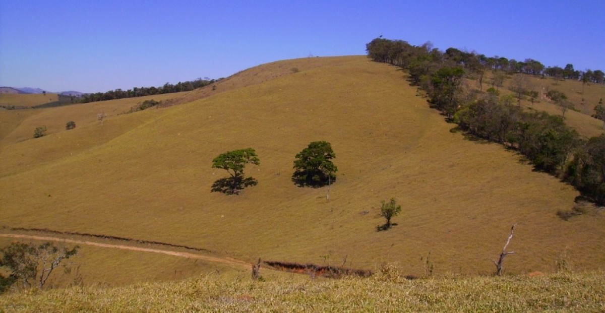 Fazenda, 170 hectares - Foto 11