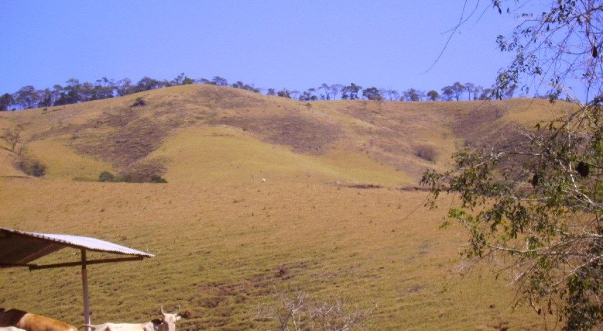 Fazenda, 170 hectares - Foto 9