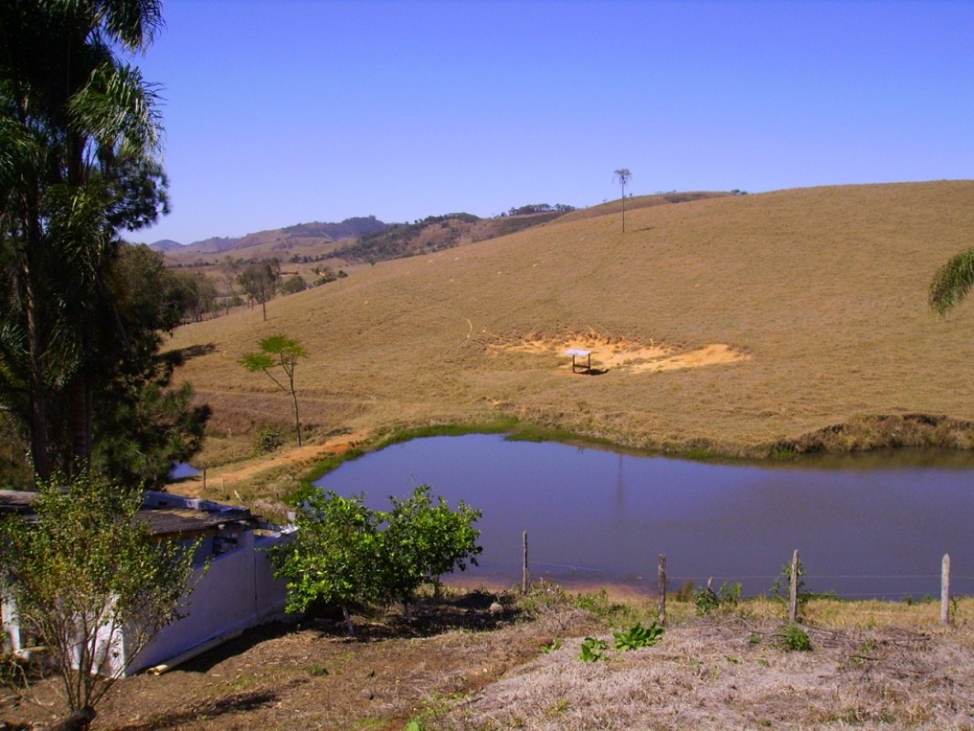 Fazenda, 170 hectares - Foto 19