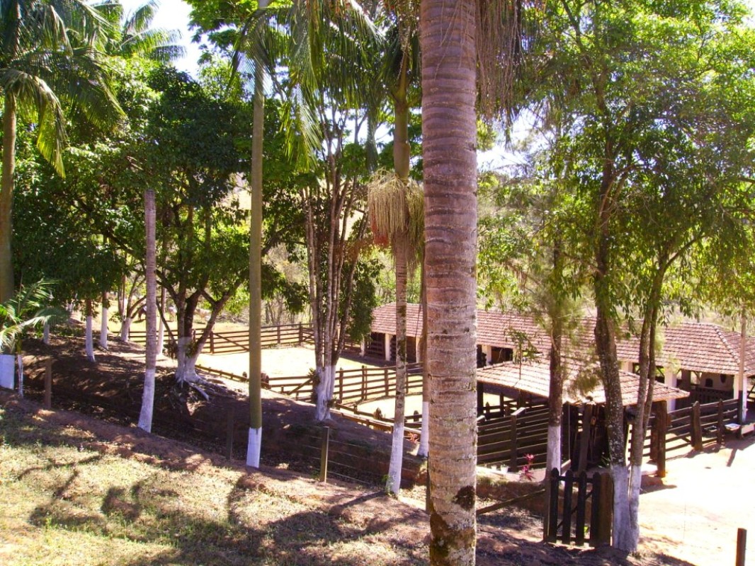 Fazenda, 170 hectares - Foto 1