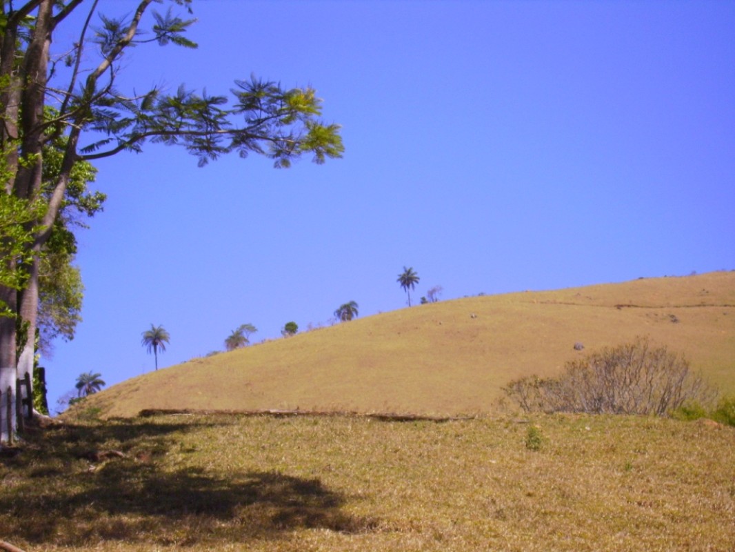 Fazenda, 170 hectares - Foto 8