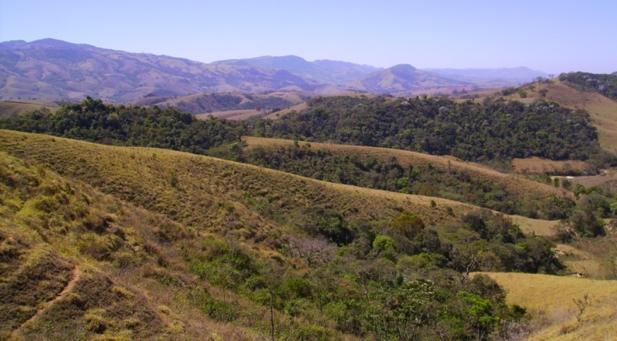 Fazenda, 170 hectares - Foto 14
